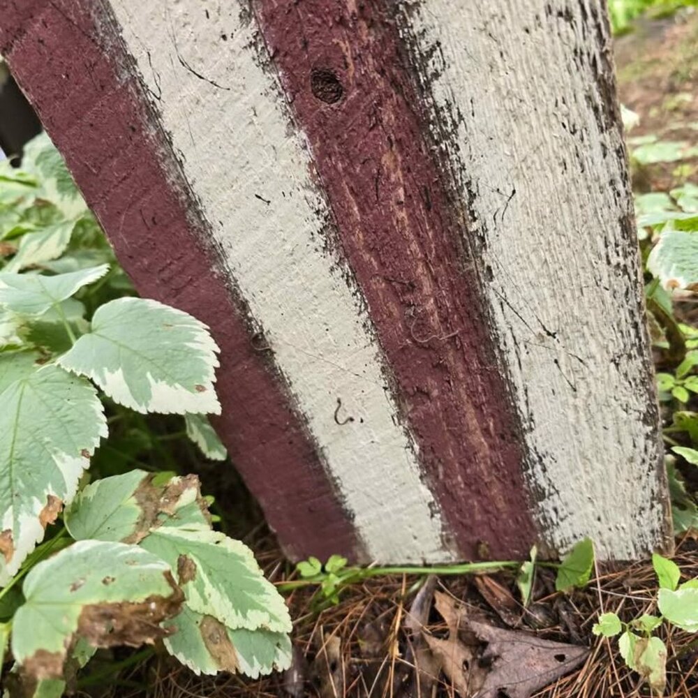 Primitive Americana United States America Wood Flag 4th of July Patriotic Decor - Picture 6 of 9